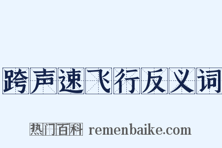 跨声速飞行反义词是什么意思的图片